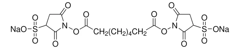 Sigma-Aldrich 双(3-磺基-N-羟基琥珀酰亚胺酯)辛二酸酯 钠盐,≥95%(H-NMR),粉末