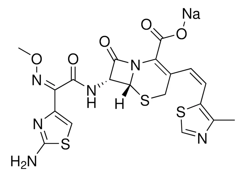 Sigma-Aldrich Cefditoren sodium，≥95%（HPLC）