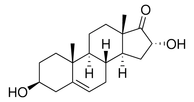 Sigma-Aldrich 16α-Hydroxydehydroepiandrosterone，≥95%（HPLC）