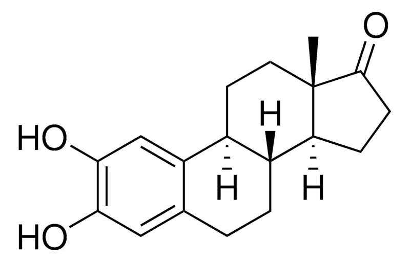 Sigma-Aldrich 2-Hydroxyesterone,≥95%(HPLC)