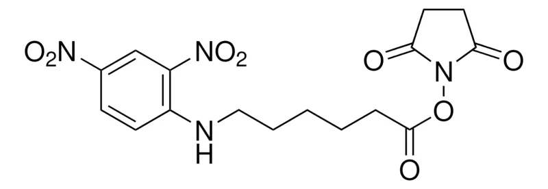 Sigma-Aldrich N-琥伯酰亚胺N-(2,4-二硝基苯基)-6-氨基己酸酯,≥95%(HPLC)