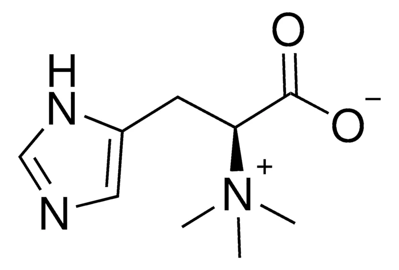 Sigma-Aldrich L-Hercynine,≥95%(HPLC)
