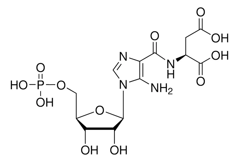 Sigma-Aldrich SAICAR，≥95%（HPLC）