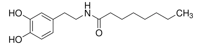 Sigma-Aldrich N-Octanoyl dopamine,≥95%(HPLC)