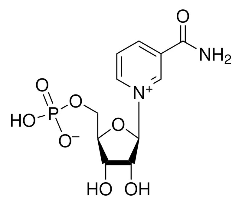 Sigma-Aldrich β-烟酰胺单核苷酸,≥95%(HPLC)