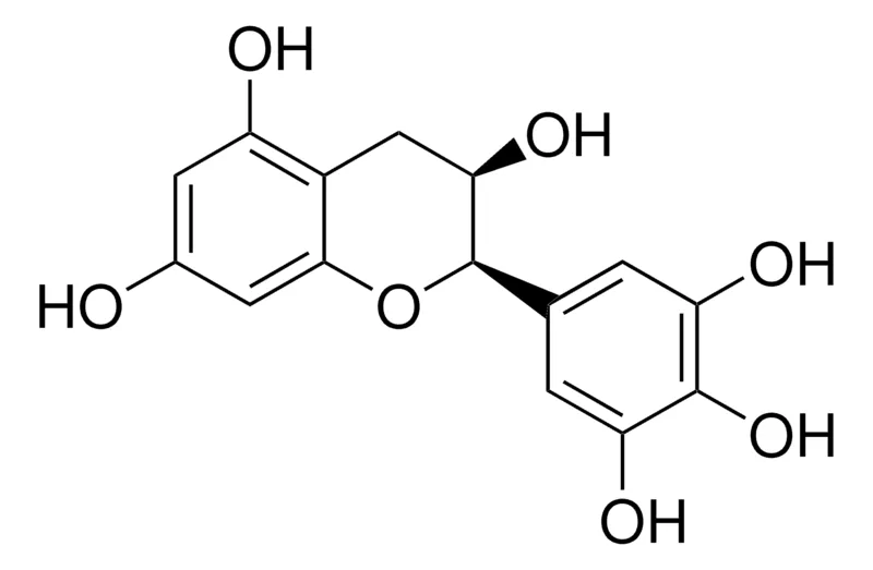 Sigma-Aldrich (-)-表没食子儿茶素，≥95%（HPLC），来自绿色茶