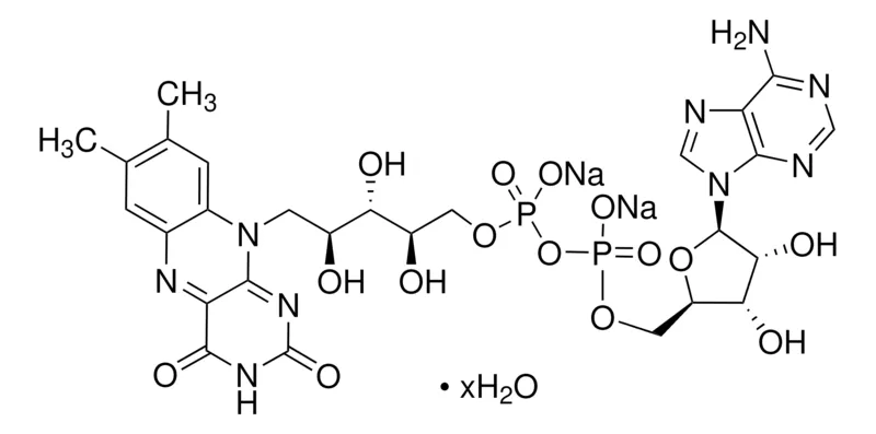 Sigma-Aldrich 黄素腺嘌呤二核苷酸 二钠盐 水合物，≥95%（HPLC），粉末