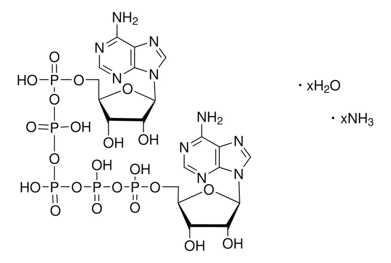Sigma-Aldrich P1,P5-Di(adenosine-5′) pentaphosphate ammonium salt,≥95%(HPLC),粉末