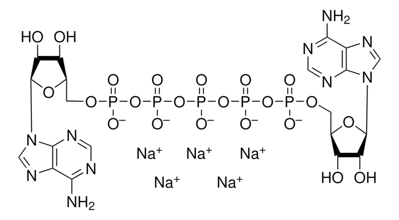 Sigma-Aldrich P1，P5-二（腺苷-5′）五磷酸 五钠盐，≥95%（HPLC），粉末