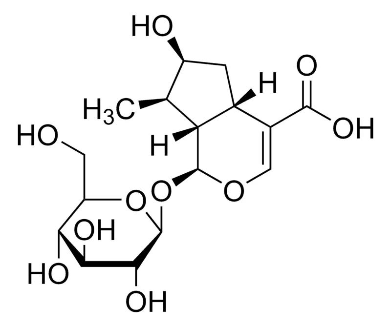 Sigma-Aldrich Loganic acid,≥95%(LC/MS-ELSD)