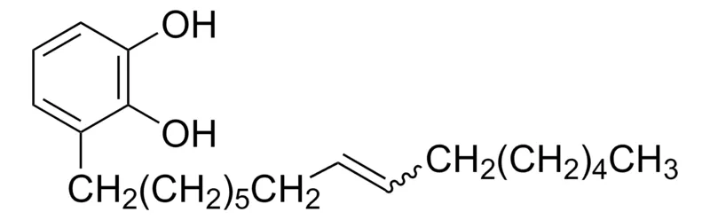 Sigma-Aldrich Bhilawanol A，≥95%（LC/MS-ELSD）