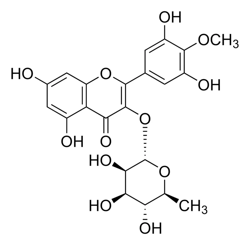 Sigma-Aldrich Mearnsitrin，≥95%（LC/MS-ELSD）