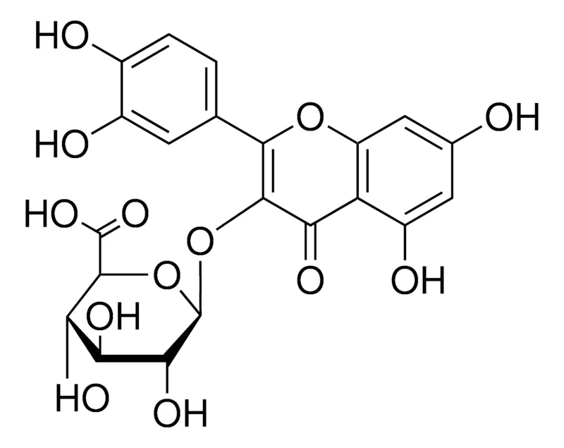 Sigma-Aldrich 槲皮素 3-葡糖苷酸,≥95%(LC/MS-ELSD)