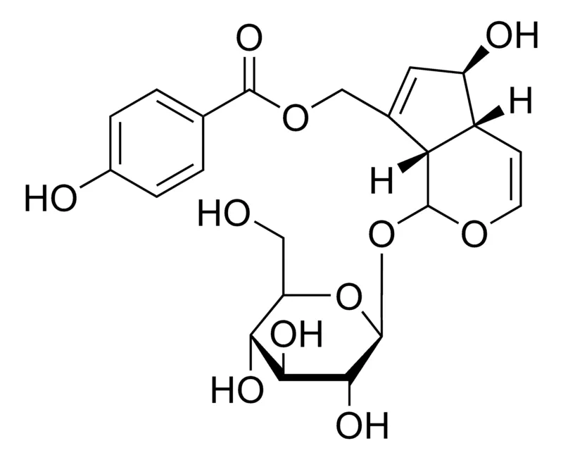 Sigma-Aldrich Agnuside，≥95%（LC/MS-ELSD）