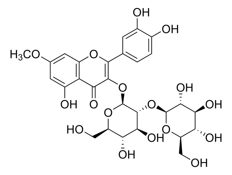 Sigma-Aldrich Rhamnetin 3-sophoroside，≥95%（LC/MS-ELSD）