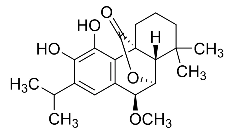 Sigma-Aldrich 7-Methylrosmanol，≥95%（LC/MS-ELSD）