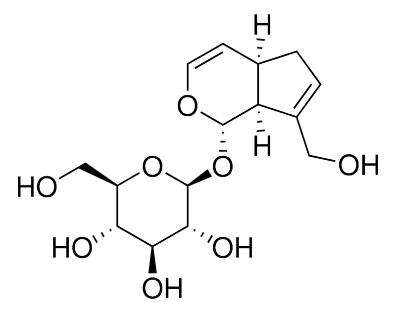 Sigma-Aldrich Bartsioside，≥95%（LC/MS-ELSD）