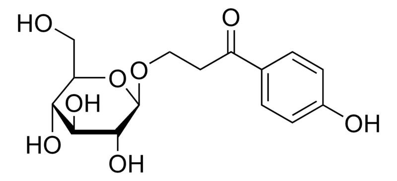 Sigma-Aldrich 3-(4-Hydroxyphenyl)-3-oxopropyl β-D-glucopyranoside，≥95%（LC/MS-ELSD）