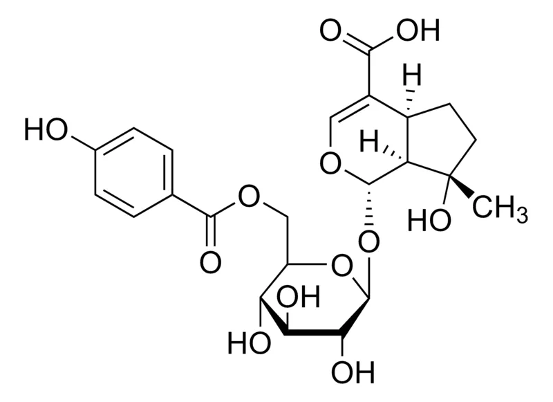 Sigma-Aldrich 6′-(p-Hydroxybenzoyl)mussaenosidic acid，≥95%（LC/MS-ELSD）