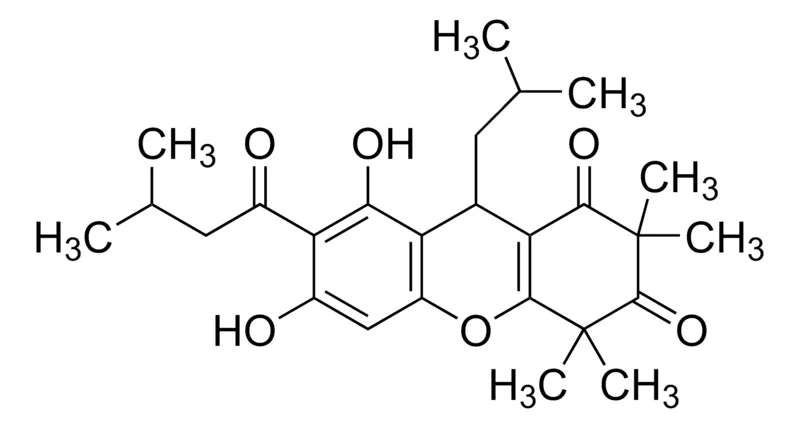 Sigma-Aldrich 红景天酮，≥95%（LC/MS-ELSD）