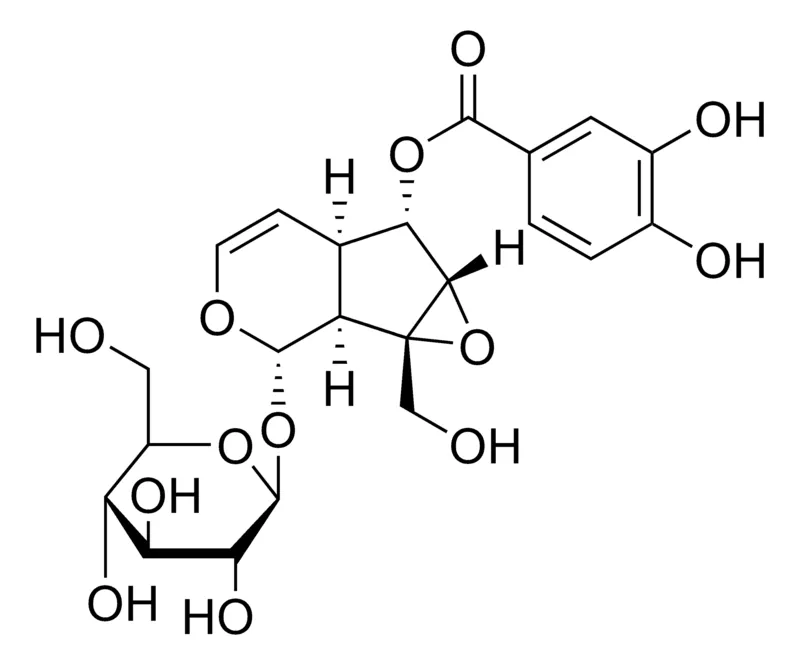 Sigma-Aldrich Verproside，≥95%（LC/MS-ELSD）
