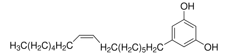 Sigma-Aldrich 比洛克波，≥95%（LC/MS-UV）