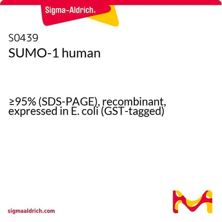 Sigma-Aldrich SUMO-1 human，≥95%（SDS-PAGE），重组，在大肠杆菌中表达（GST标记）
