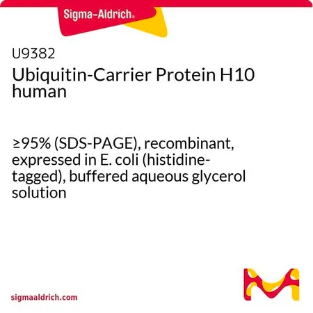 Sigma-Aldrich Ubiquitin-Carrier Protein H10 human,≥95%(SDS-PAGE),重组,在大肠杆菌中表达(组氨酸标记),甘油缓冲水溶液