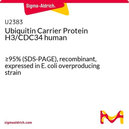 Sigma-Aldrich Ubiquitin Carrier Protein H3/CDC34 human，≥95%（SDS-PAGE），重组，在大肠杆菌高产菌株中表达