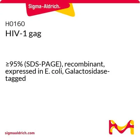 Sigma-Aldrich HIV-1 gag,≥95%(SDS-PAGE),重组,在大肠杆菌中表达,半乳糖苷酶标记