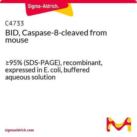 Sigma-Aldrich BID, Caspase-8-cleaved from mouse,≥95%(SDS-PAGE),重组,在大肠杆菌中表达,缓冲水溶液