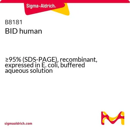 Sigma-Aldrich BID human,≥95%(SDS-PAGE),重组,在大肠杆菌中表达,缓冲水溶液
