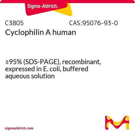 Sigma-Aldrich 亲环素 A 人,≥95%(SDS-PAGE),重组,在大肠杆菌中表达,缓冲水溶液