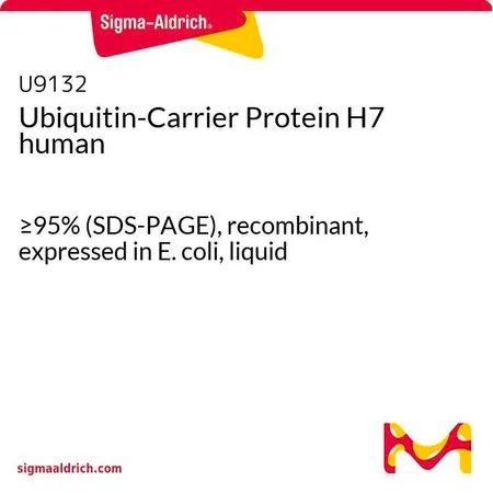 Sigma-Aldrich Ubiquitin-Carrier Protein H7 human，≥95%（SDS-PAGE），重组，在大肠杆菌中表达，液体