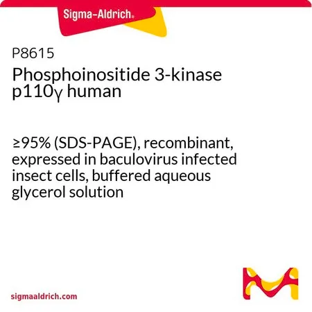 Sigma-Aldrich Phosphoinositide 3-kinase p110γ human，≥95%（SDS-PAGE），重组，在杆状病毒感染的昆虫细胞中表达，甘油缓冲水溶液