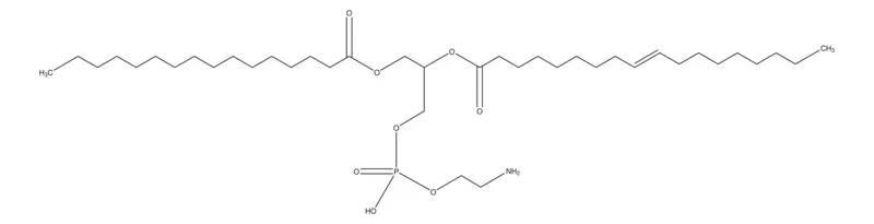 Sigma-Aldrich 2-油酰-1-棕榈酰-sn-甘油-3-磷酸乙醇胺,≥95%(TLC)