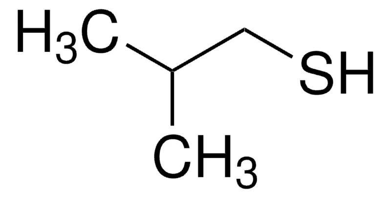 Sigma-Aldrich 2-甲基-1-丙硫醇，≥95%，FG