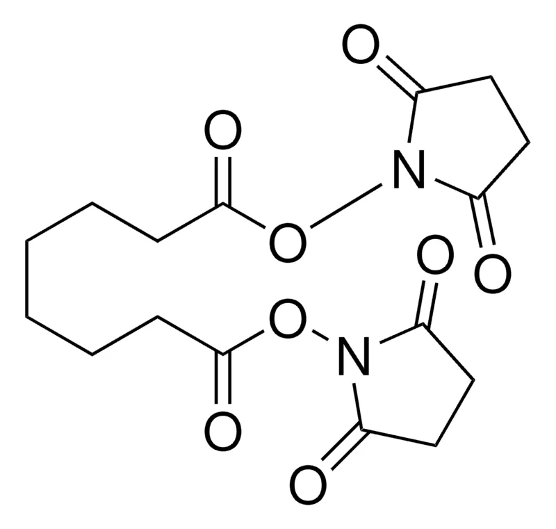 Sigma-Aldrich 辛二酸双(N-羟基琥珀酰亚胺酯)，≥95%，粉末
