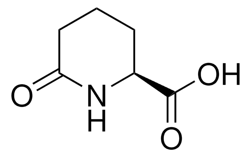 Sigma-Aldrich (S)-2-哌啶酮-6-羧酸，≥95.0%（HPLC）