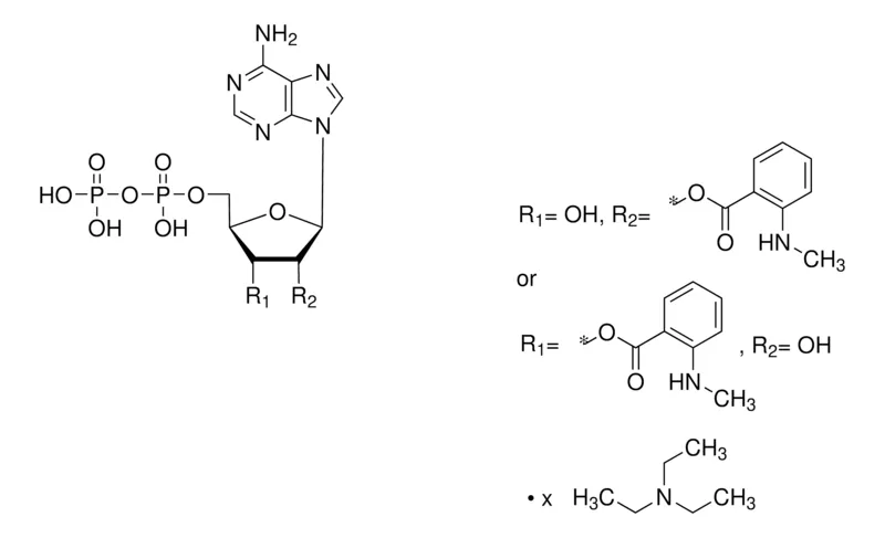 Sigma-Aldrich Mant-ADP triethylammonium salt solution，≥95.0%（HPLC）