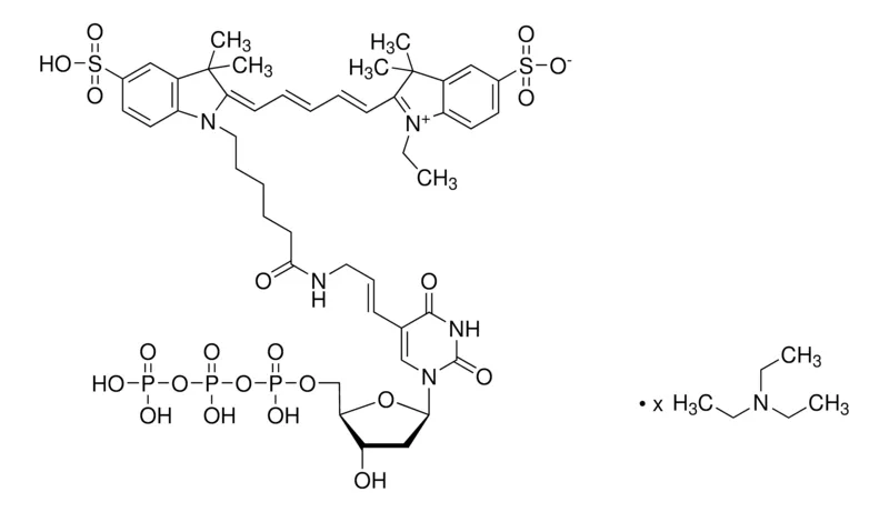 Sigma-Aldrich Aminoallyl-dUTP-Cy®5 triethylammonium salt solution,≥95.0%(HPLC)