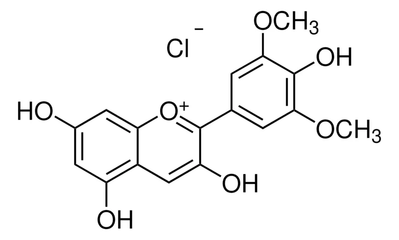 Sigma-Aldrich 氯化二甲花翠素,≥95.0%(HPLC)