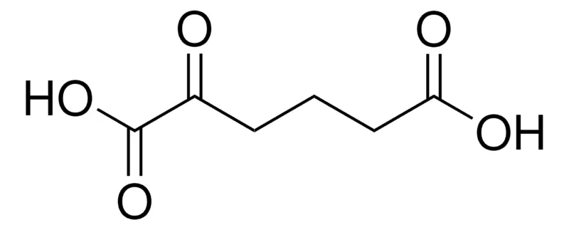 Sigma-Aldrich 2-氧代己二酸 单钠盐,≥95.0%(HPLC)