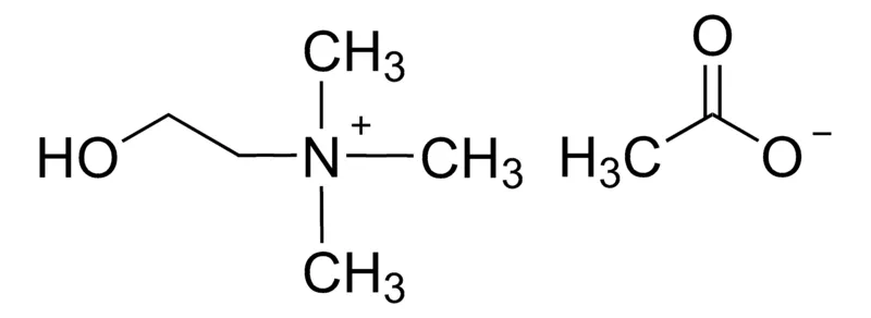Sigma-Aldrich 醋酸胆碱,≥95.0%(T)
