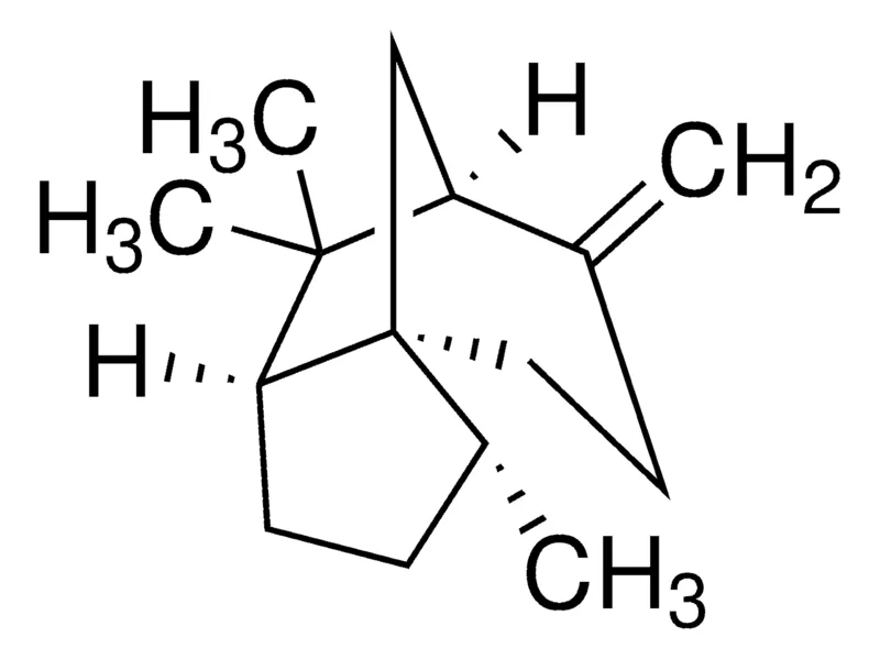 Sigma-Aldrich (+)-β-雪松烯,≥95.0%(对映异构体总和,GC)