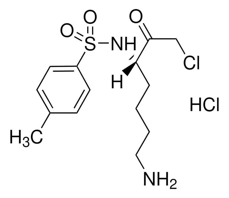 Sigma-Aldrich Nα-甲苯磺酰基- L -赖氨酸氯甲基酮 盐酸盐,粉末,≥96%(TLC)