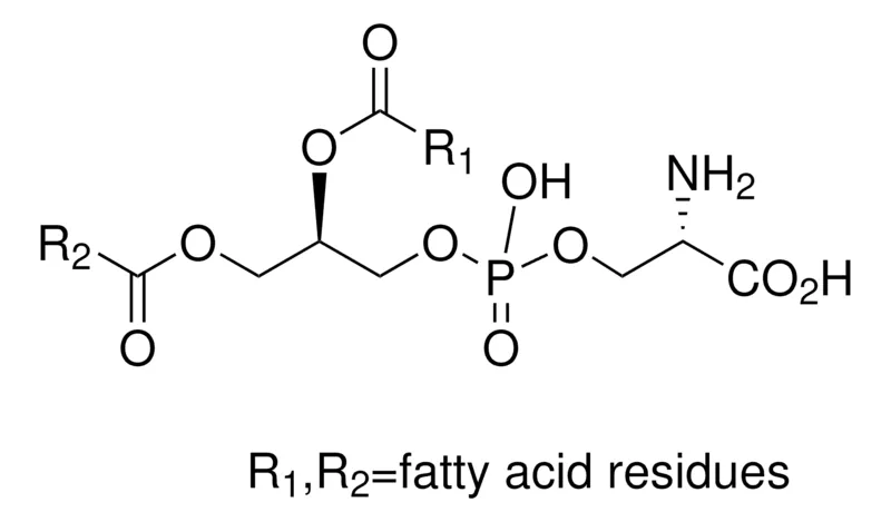 Sigma-Aldrich L-α-磷脂酰-L-丝氨酸 来源于大豆，≥97%