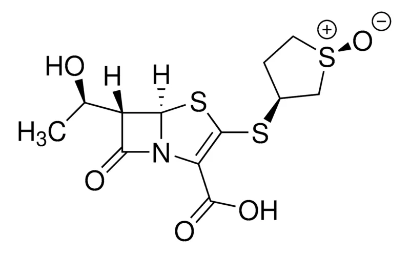 Sigma-Aldrich Sulopenem,≥97%(HPLC法)