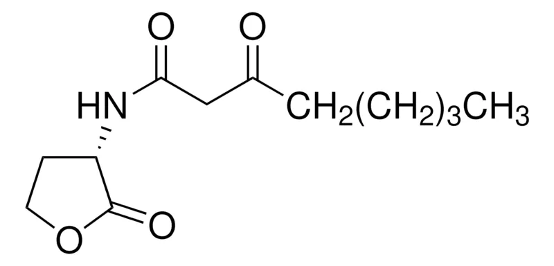 Sigma-Aldrich N-(3-氧代辛酰基)-L-高丝氨酸内酯,≥97%(HPLC),白色,粉末