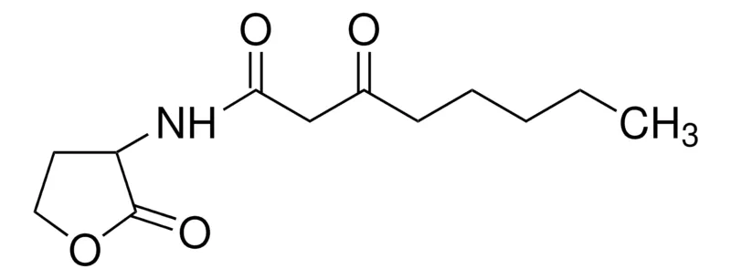 Sigma-Aldrich N-(3-氧辛酰基)-DL-高丝氨酸内酯,≥97%(HPLC),白色,粉末